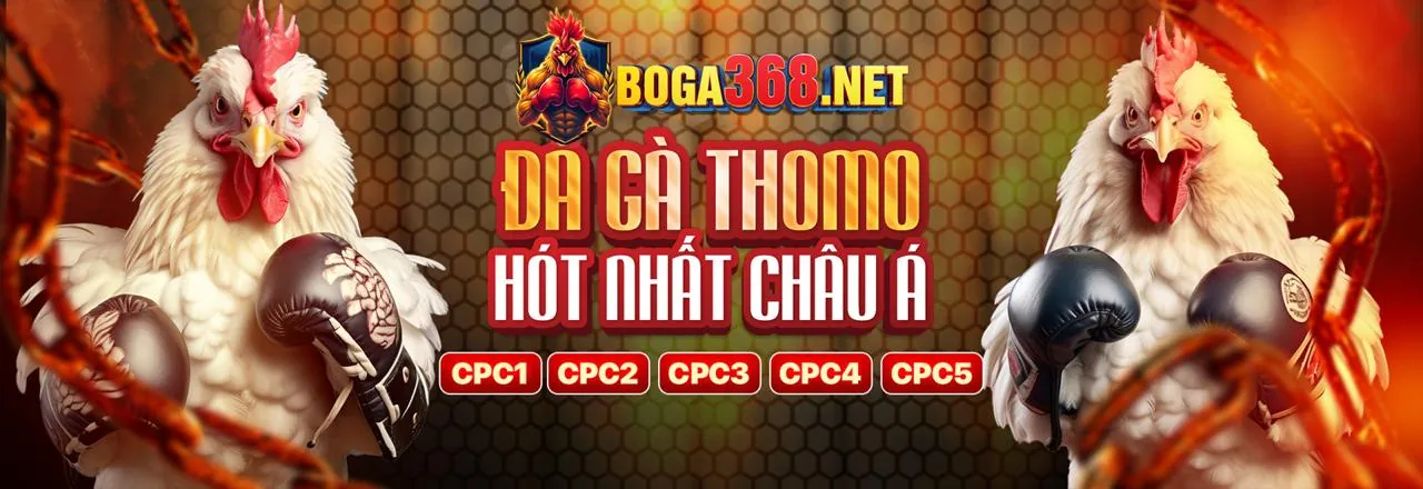 Sân đấu gà trực tuyến 789win01